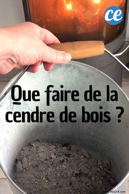 32 Proven Uses for Wood Ash: Transform Waste into Household and Garden Gold