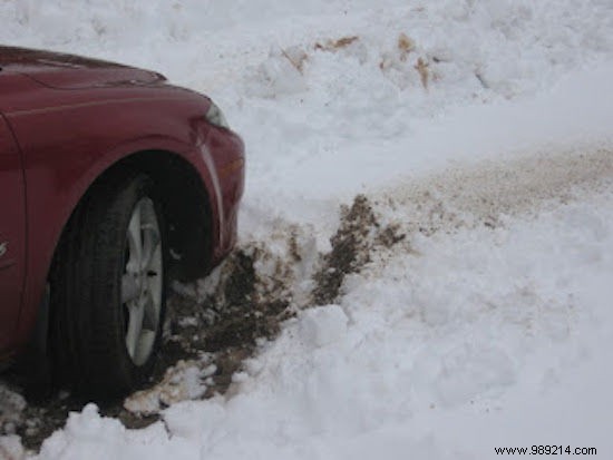 32 Proven Uses for Wood Ash: Transform Waste into Household and Garden Gold