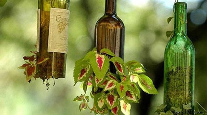 22 Genius Ways to Upcycle Glass Bottles into Stunning Decor and Functional Items