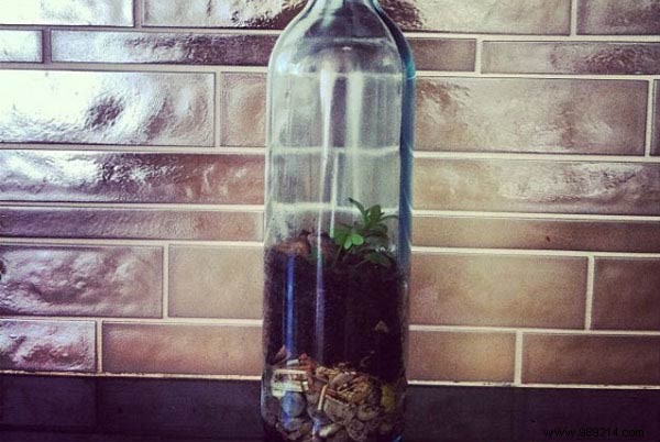 22 Genius Ways to Upcycle Glass Bottles into Stunning Decor and Functional Items