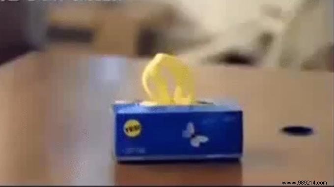 Simple DIY Hack: Store Plastic Grocery Bags Neatly in an Empty Tissue Box