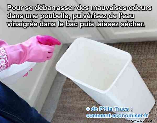 Eliminate Trash Can Odors Naturally: The Simple Vinegar Spray Trick
