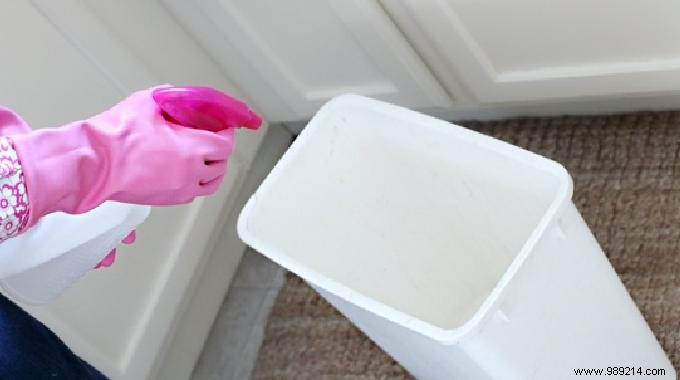 Eliminate Trash Can Odors Naturally: The Simple Vinegar Spray Trick