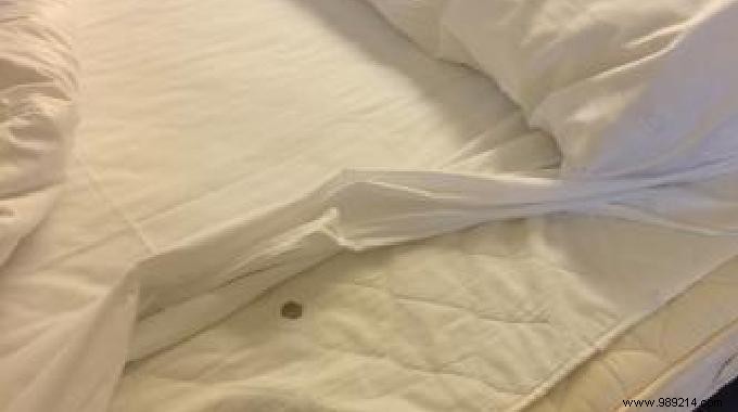 How to Remove Blood Stains from a Mattress: Proven Baking Soda and Salt Method