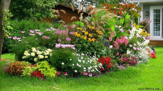 5 Free Natural Fertilizers from Your Home for Thriving Plants