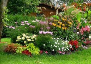 5 Free Natural Fertilizers from Your Home for Thriving Plants