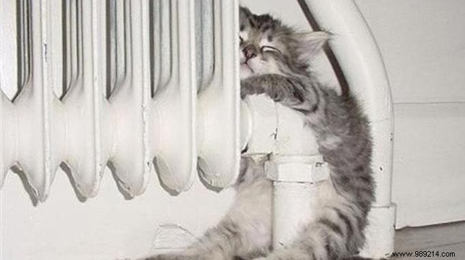 12 Proven Tips to Stay Warm This Winter and Slash Your Heating Bills