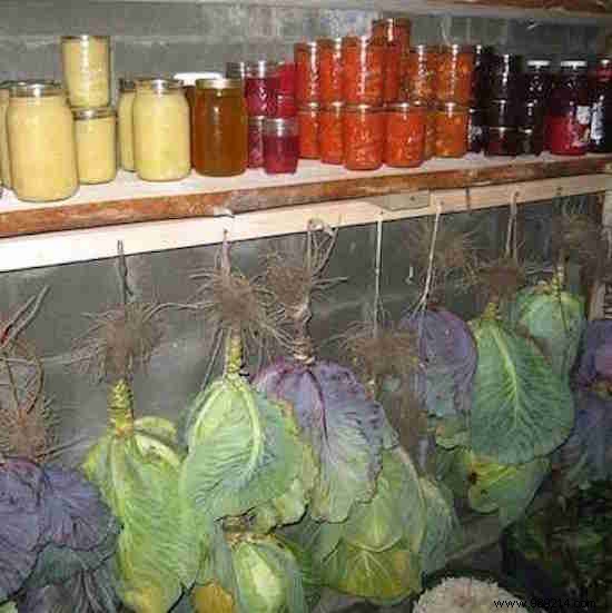 15 Ingenious Old Home Features Worth Bringing Back Today