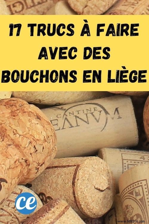 17 Ingenious Ways to Repurpose Wine Corks: Practical DIY Hacks for Home and Garden