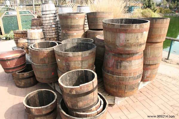 How to Grow 45 kg of Potatoes in a Barrel: My Proven 4-Step Guide