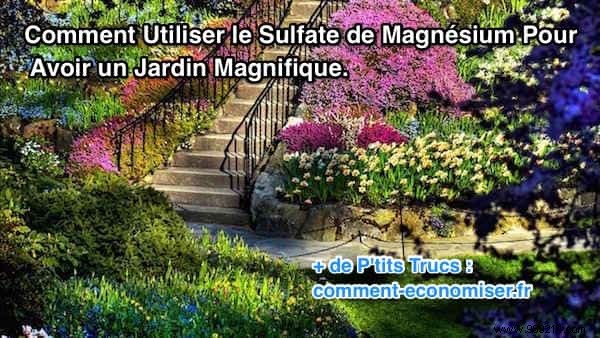 Expert Guide: How to Use Magnesium Sulfate for a Thriving, Beautiful Garden