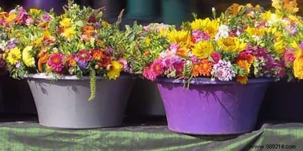 Expert Guide: How to Use Magnesium Sulfate for a Thriving, Beautiful Garden