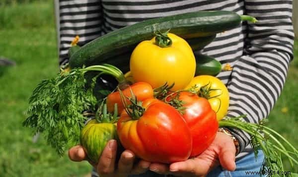 Expert Guide: How to Use Magnesium Sulfate for a Thriving, Beautiful Garden