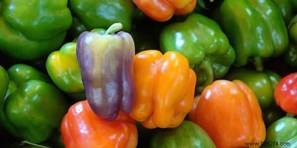 Expert Guide: How to Use Magnesium Sulfate for a Thriving, Beautiful Garden