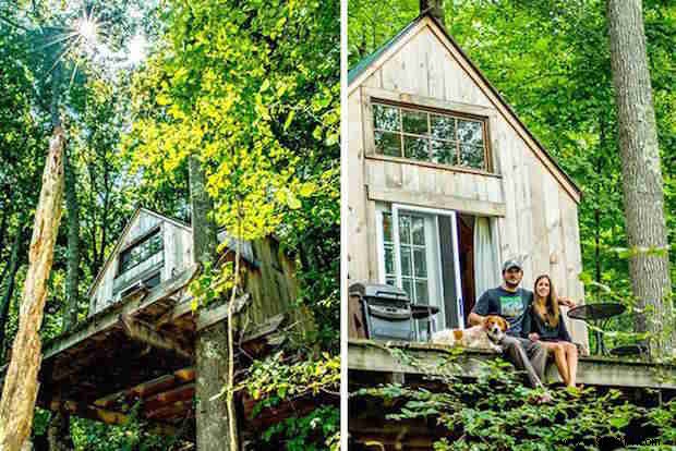 Charming Woodland Cabin Built in Just 6 Weeks for €3,500: Dave Herrle s Inspiring Project