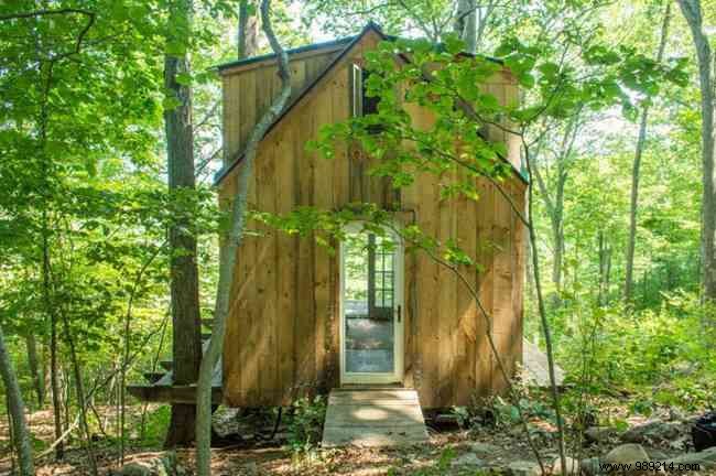 Charming Woodland Cabin Built in Just 6 Weeks for €3,500: Dave Herrle s Inspiring Project