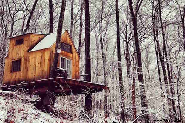 Charming Woodland Cabin Built in Just 6 Weeks for €3,500: Dave Herrle s Inspiring Project