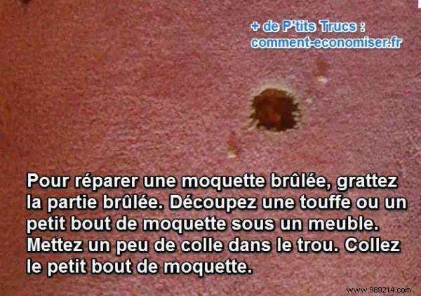 Fix a Burnt Carpet Spot: Grandma s Proven DIY Repair Trick