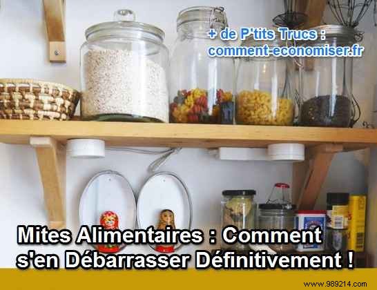 How to Eliminate Food Moths from Your Pantry Forever: Proven Natural Methods