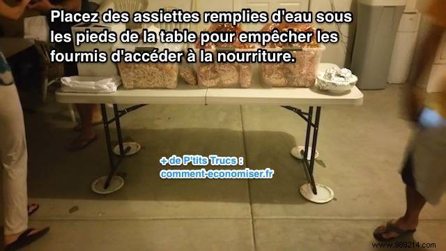 Proven Water Barrier Trick: Keep Ants Off Your Outdoor Table