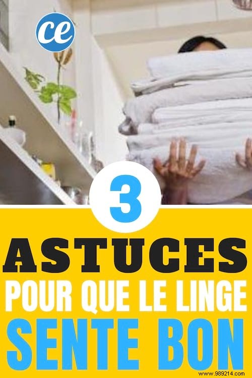 3 Proven, Natural Ways to Freshen Your Laundry on a Budget