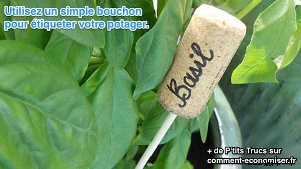 DIY Wine Cork Garden Labels: Stunning Vegetable Markers in Just 2 Minutes