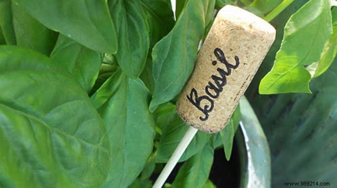 DIY Wine Cork Garden Labels: Stunning Vegetable Markers in Just 2 Minutes