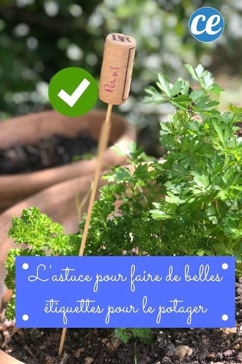 DIY Wine Cork Garden Labels: Stunning Vegetable Markers in Just 2 Minutes