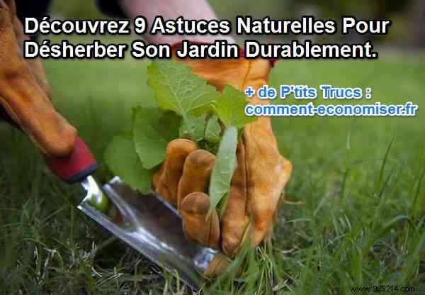 9 Proven Natural Ways to Eliminate Weeds from Your Garden Safely