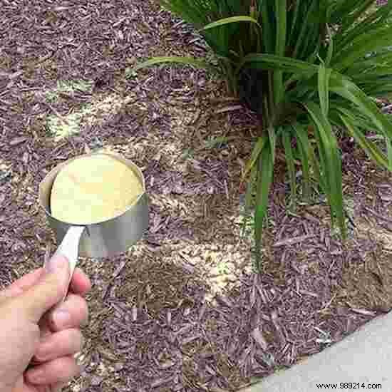 9 Proven Natural Ways to Eliminate Weeds from Your Garden Safely