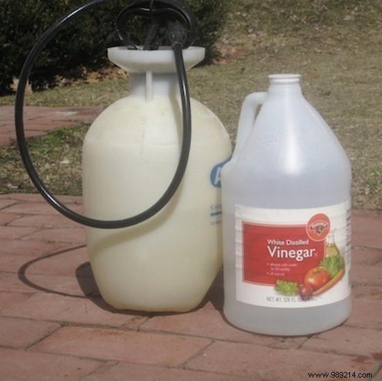 9 Proven Natural Ways to Eliminate Weeds from Your Garden Safely