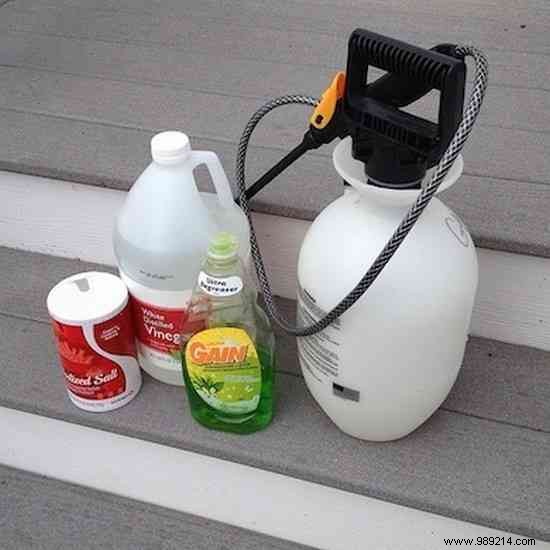 9 Proven Natural Ways to Eliminate Weeds from Your Garden Safely