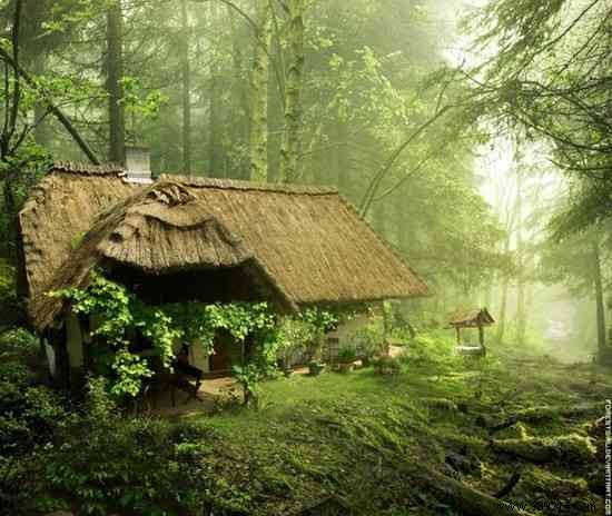 11 Enchanting Homes Nestled in Nature: Dreamy Retreats from Around the World