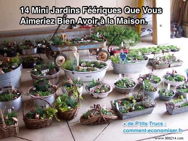 14 Enchanting Miniature Gardens to Inspire Your Creativity