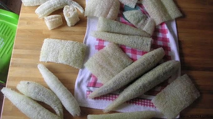 Grow Your Own Natural Loofah Sponges: A Proven Step-by-Step Garden Guide