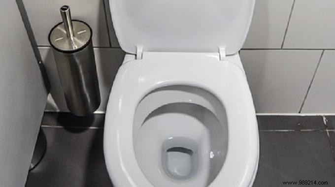 Effortless Way to Descale Your Toilet Using White Vinegar