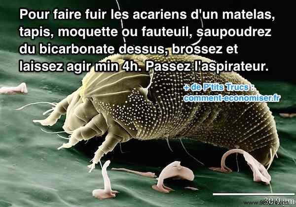 Eliminate Dust Mites at Home Naturally: Proven Baking Soda Method