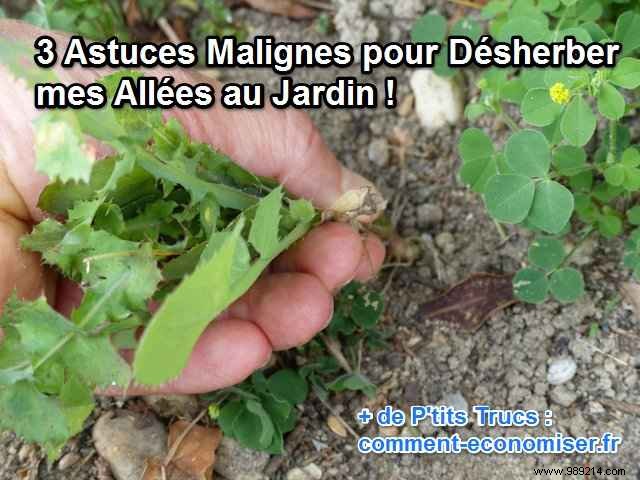 3 Proven Natural Tips for Weed-Free Garden Paths