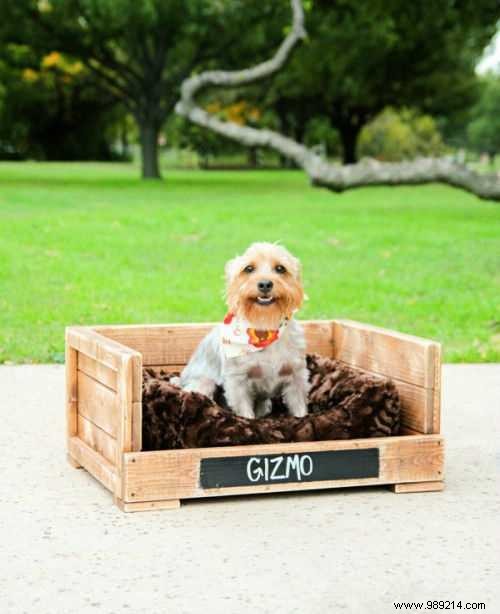 36 Genius DIY Projects: Upcycle Free Pallets into Stunning Outdoor Furniture and More