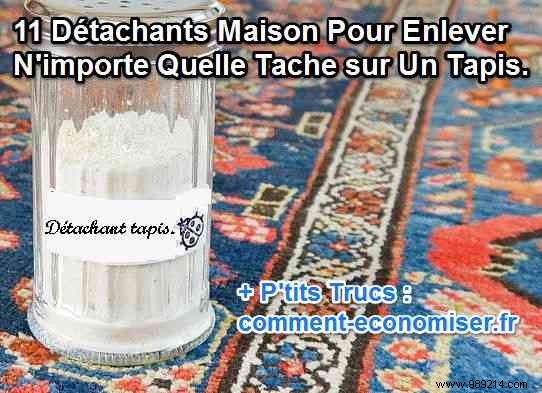 11 Proven Homemade Stain Removers for Any Carpet Challenge