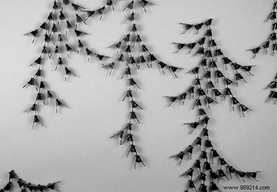 20 Ingenious Clipboard Hacks for Everyday Organization and Storage