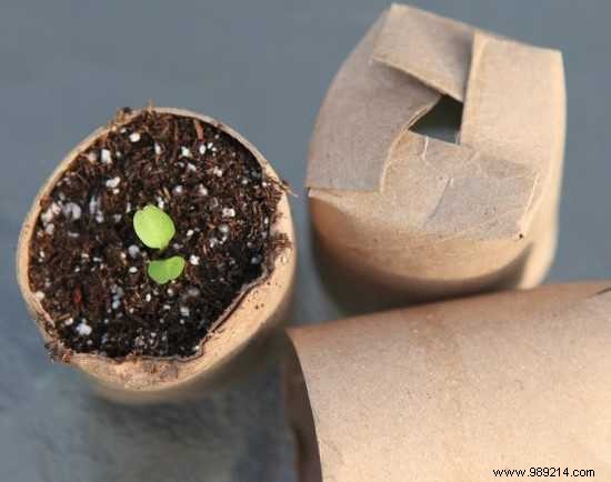 13 Creative Ways to Repurpose Toilet Paper Rolls: Eco-Friendly DIY Ideas