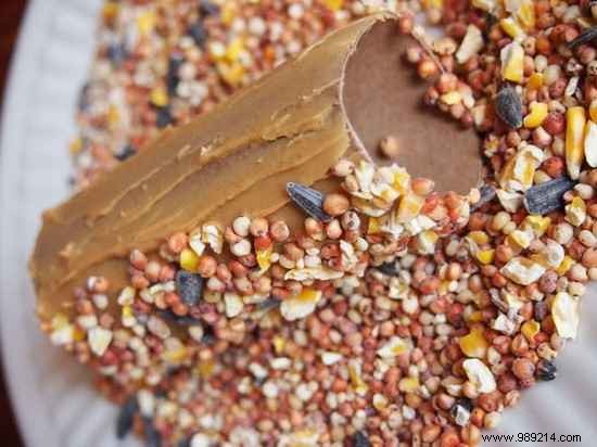 13 Creative Ways to Repurpose Toilet Paper Rolls: Eco-Friendly DIY Ideas