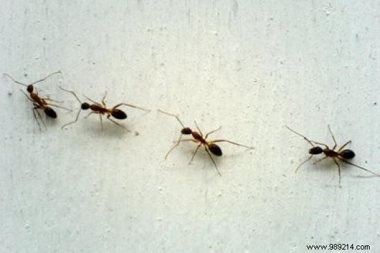 21 Ingenious Everyday Uses for Chalk: Cleaning, Home Hacks, and More