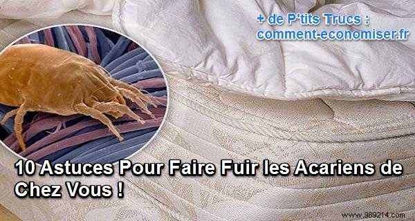 10 Proven Tips to Eliminate Dust Mites from Your Home