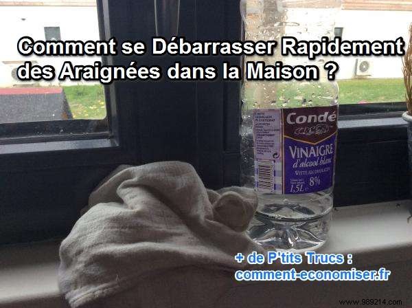 Effective Natural Spider Repellent: Keep Spiders Out of Your Home with White Vinegar