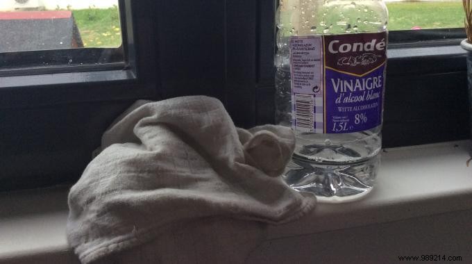 Effective Natural Spider Repellent: Keep Spiders Out of Your Home with White Vinegar