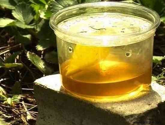 10 Proven Vinegar Hacks to Simplify Cleaning and Home Maintenance