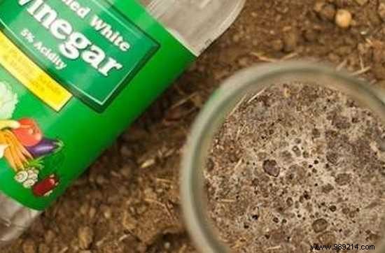 10 Proven Vinegar Hacks to Simplify Cleaning and Home Maintenance