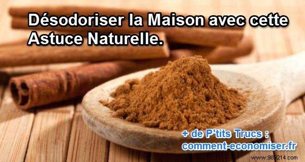 10 Natural DIY Air Fresheners for a Fresh Home All Day